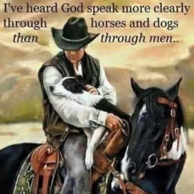 tgradous: Horse trainer/hayfarmer (old saddle bronc rider) The Constitutional Republic is gone‼️My Goal is to be as good as my🐴&🐶think I am. GOD BLESS #HaySeedHick